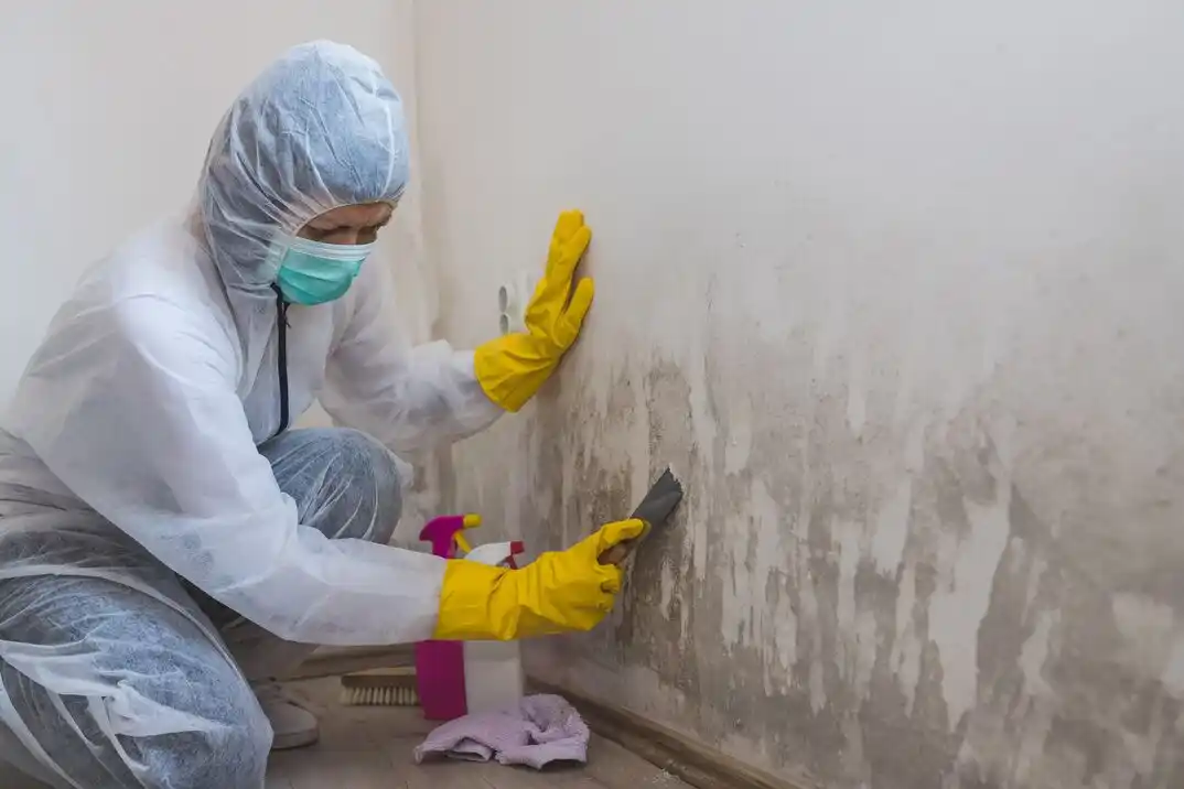 water damage restoration service Snug Harbor